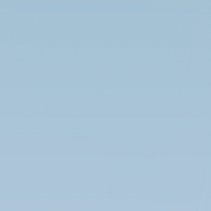 Sajeed H Profile Picture